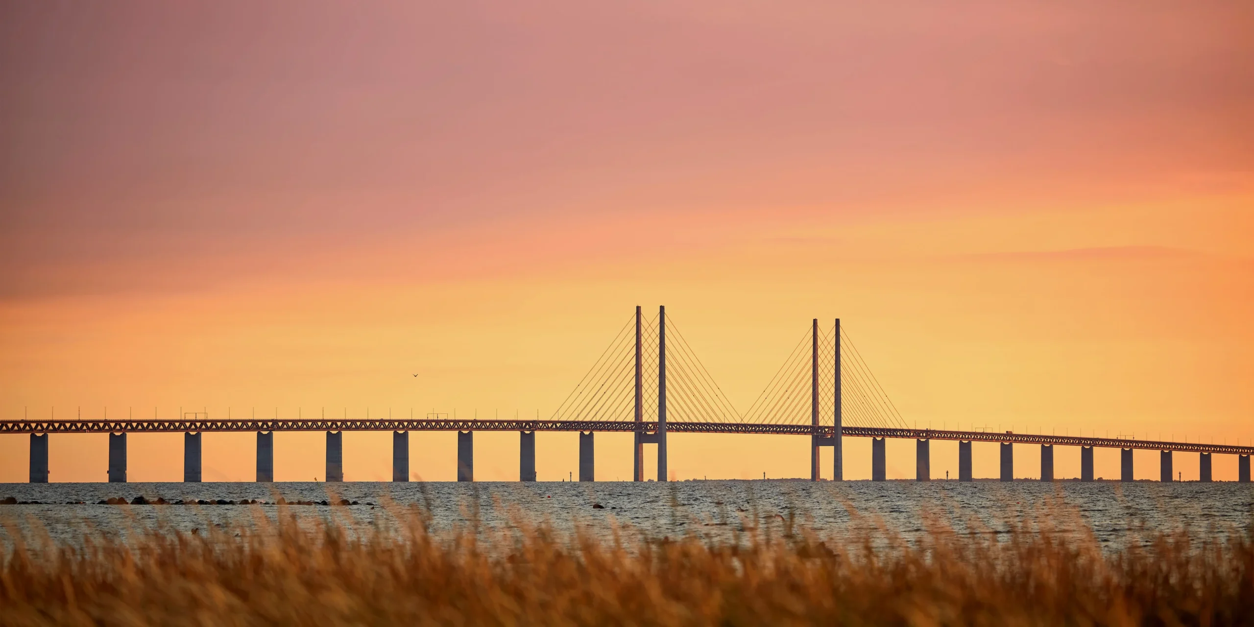 Siffror. Säljer. Siffror är något. Hur många Öresundsbroar ska norra Sverige bygga?
